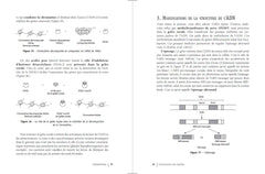 Connaissance des abeilles