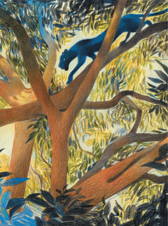 Le livre de la jungle