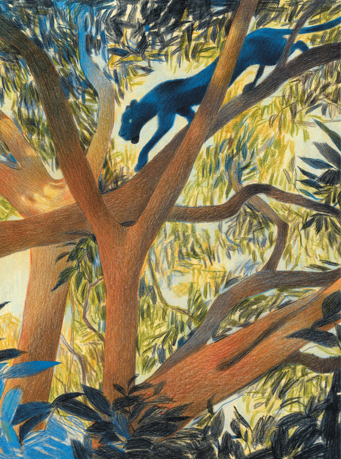 Le livre de la jungle