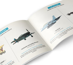 Histoire de l'Armée de l'air et de l'espace