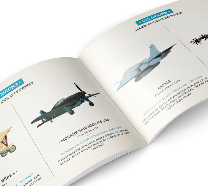 Histoire de l'Armée de l'air et de l'espace