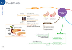 Diplôme infirmier - IFSI - Cartes mentales - UE 2.8 - Processus obstructifs
