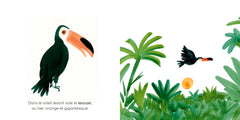 Mon imagier à raconter - Les Animaux de la jungle