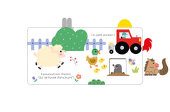 Coucou-caché petit mouton