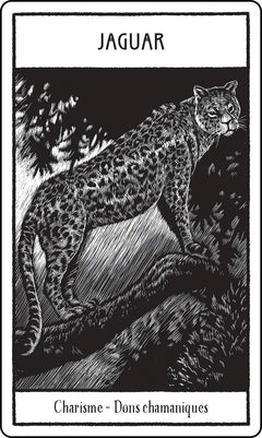 Animaux sacrés cartes oracle - Messages de sagesse de la nature sauvage