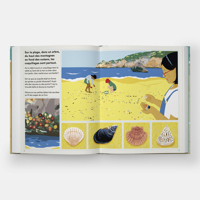 La vie secrète des coquillages