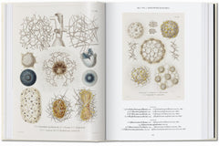 L’art et la science de Ernst Haeckel