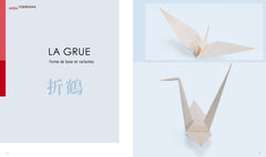 Origami d'exception