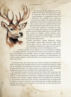 Le Forestarium - Mythes, légendes et explorations au coeur de la forêt