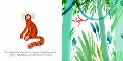 Mon imagier à raconter - Les Animaux de la jungle