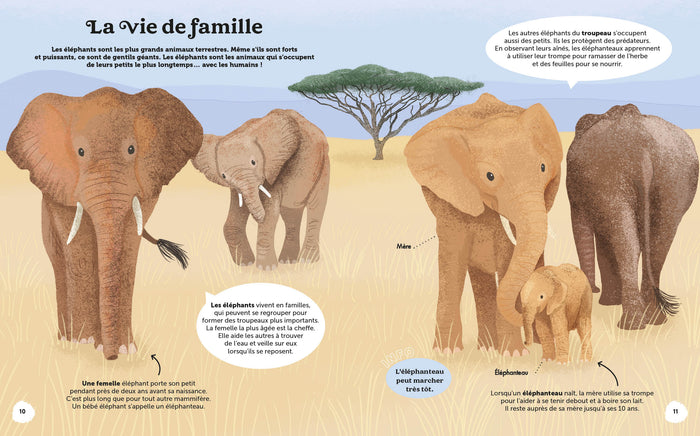 Les merveilles de la nature