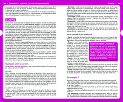 Guide du routard Guatemala