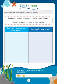 Les défis des petits génies CE1-CE2