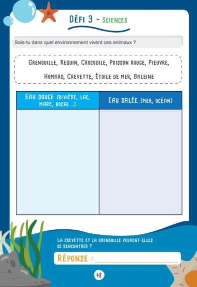 Les défis des petits génies CE1-CE2