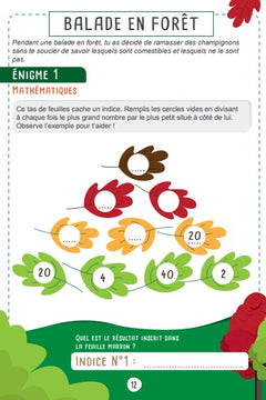 Les défis des petits génies CE2-CM1