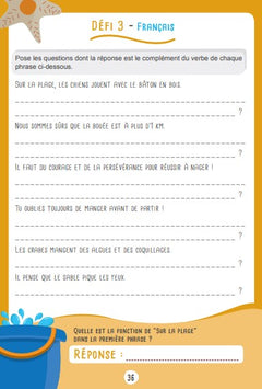 Les défis des petits génies CM2-6e