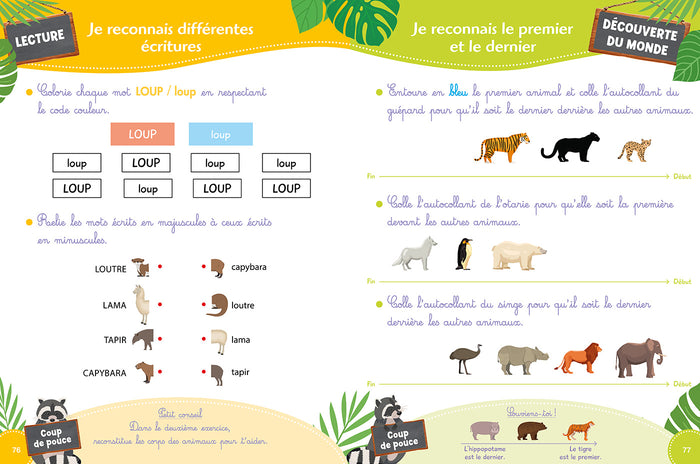 Ma maternelle avec Une saison au zoo - Moyenne section