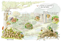 Créer un jardin vivant - Accueillir la biodiversité et s'allier à la faune sauvage