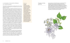 Devine mon âge si tu peux