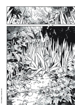 Shiita et la forêt des minuscules T01