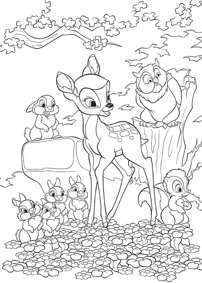 Disney Teens - Atelier de coloriages - Portraits en pas à pas