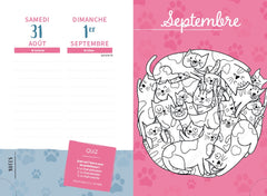 Agenda Chats et chatons 2024-2025