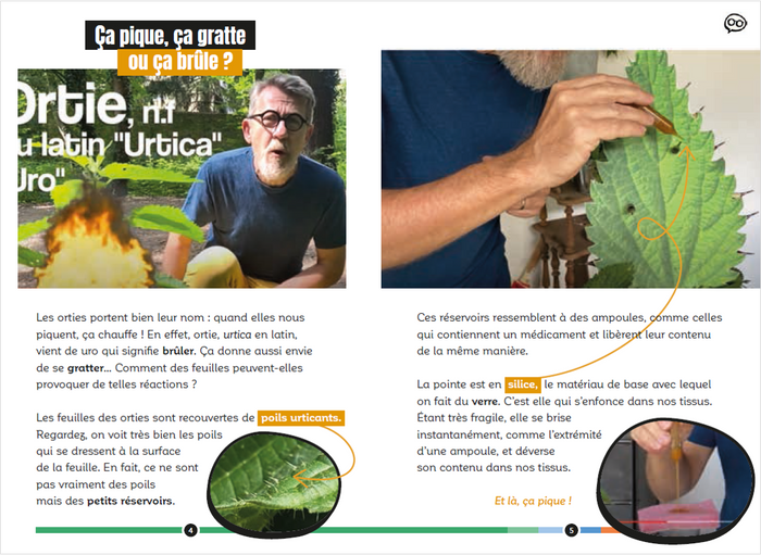 Pourquoi ça pique les orties ? et autres questions épineuses...