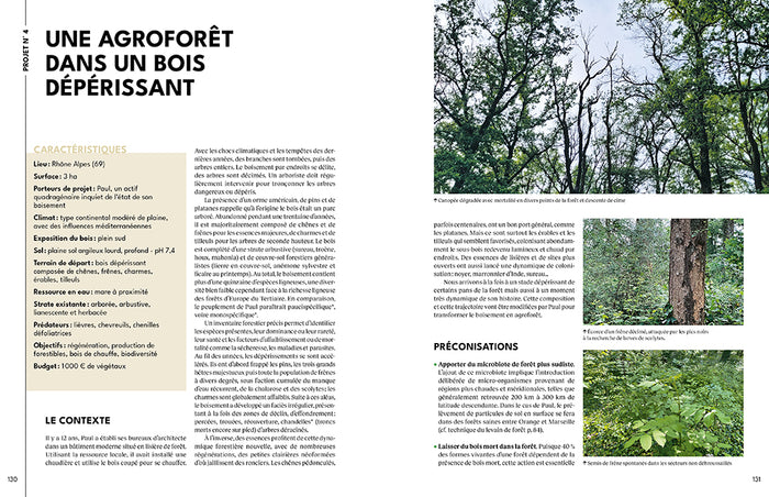 La forêt gourmande - Concevoir son jardin-forêt - 20 projets inspirants de 10 m2 à 10 ha