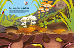 Insectes et autres petites bêtes