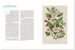 Dictionnaire amoureux illustré de Marcel Proust
