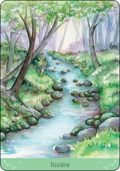Parcelles de vie - Cartes Oracle