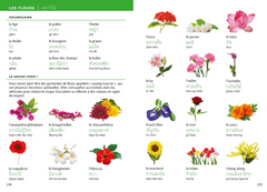 Dictionnaire visuel thaï