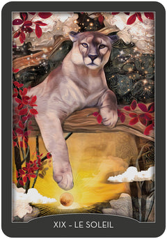 Coffret Tarot des gardiens de la nuit