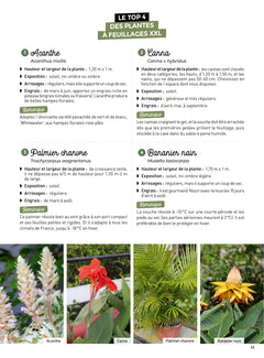 Balcons et terrasses : potager fleuri aromatique jungle