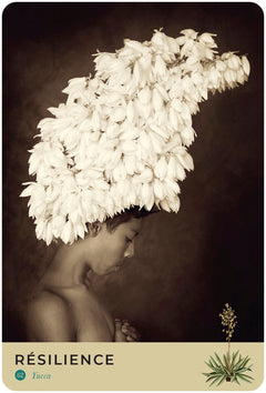 Oracle de la nature sacrée