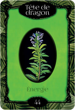 L'oracle des fleurs
