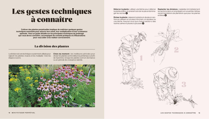 Mon potager perpétuel