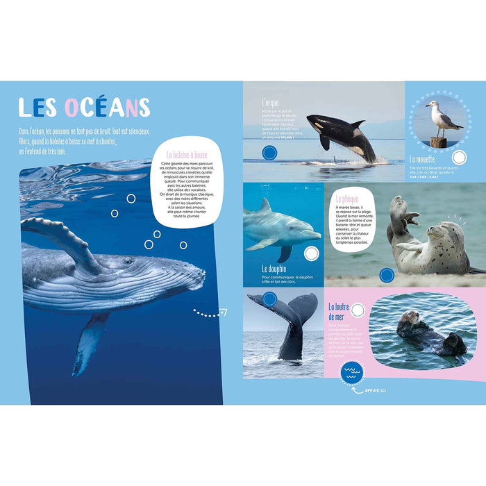 Mon grand livre sonore - Animaux