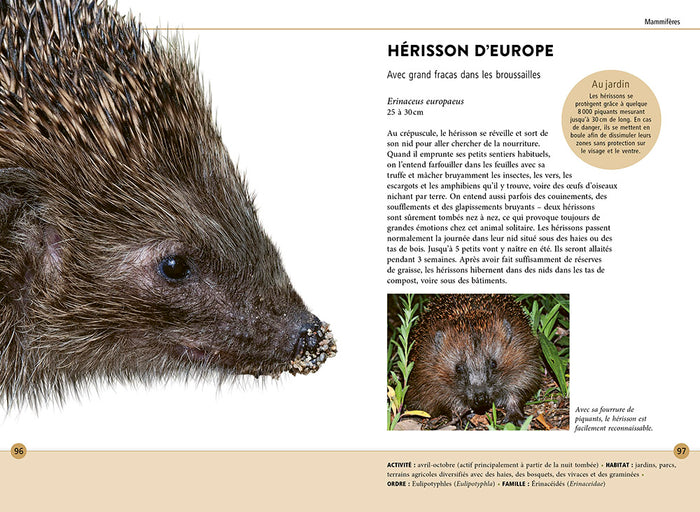 Reconnaître facilement les animaux du jardin