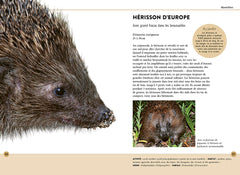 Reconnaître facilement les animaux du jardin