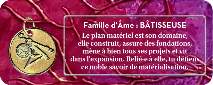 Le petit oracle de la mission d'âme