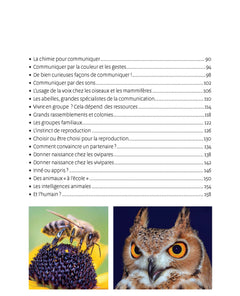 La vie animale 6-12 ans