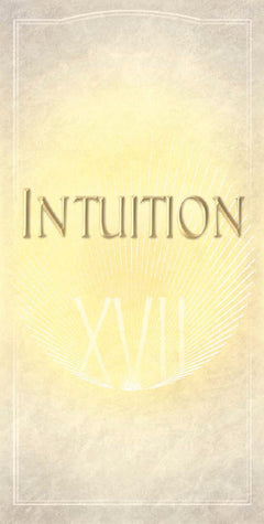 Le mystérieux labyrinthe - Se perdre pour mieux se retrouver