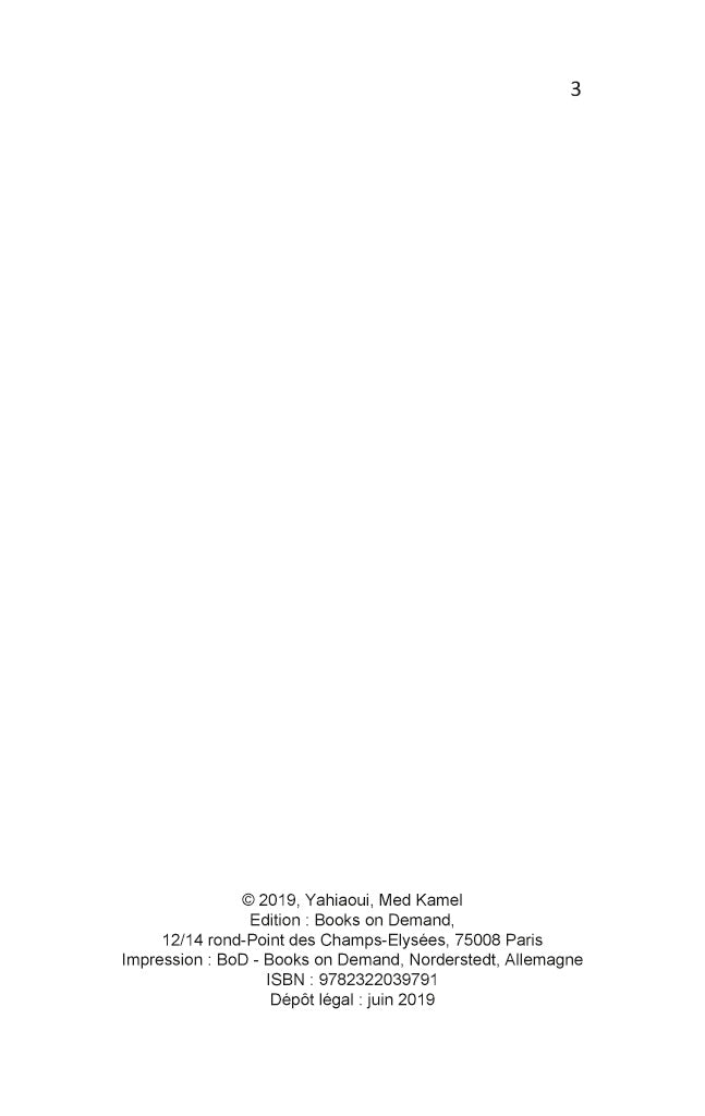 Berbères et Arabes, l'histoire controversée