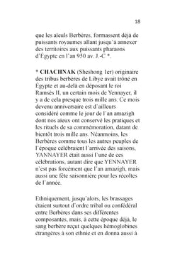 Berbères et Arabes, l'histoire controversée