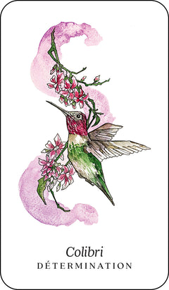 L'oracle des animaux de la forêt boréale