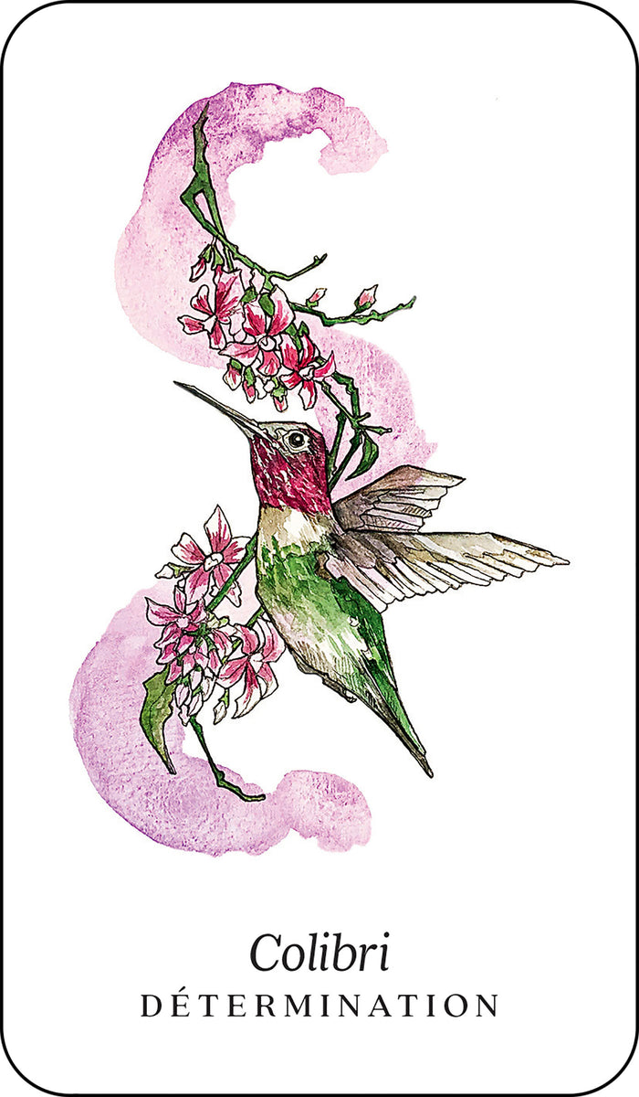 L'oracle des animaux de la forêt boréale