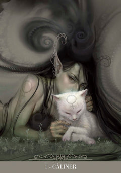 Coffret Oracle des chats fantasy