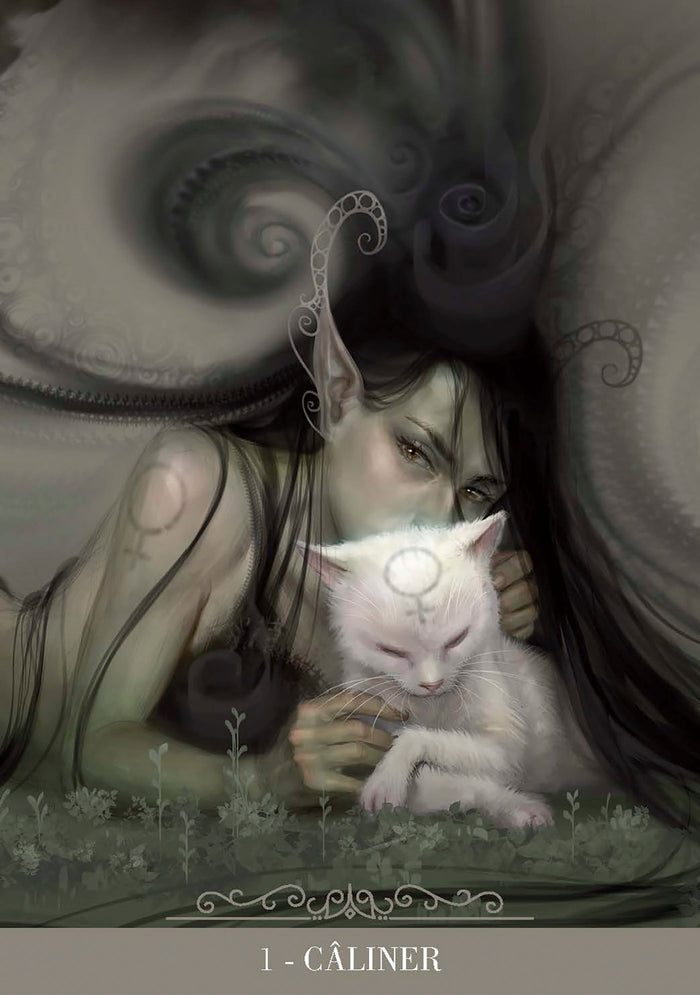 Coffret Oracle des chats fantasy