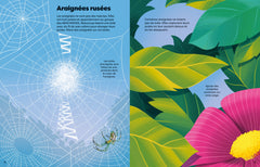 Insectes et autres petites bêtes